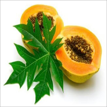पपीते के पत्ते