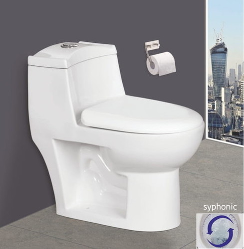 Ceramic One Piece Dual Flush Toilet