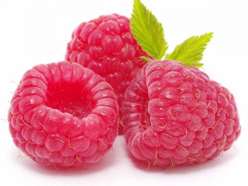 Raspberry Extract - 10% Concentration, Red Liquid in Glass Bottle - Refrigerated Storage, 1 Year Shelf Life