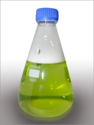 Safeguard Ecofoam