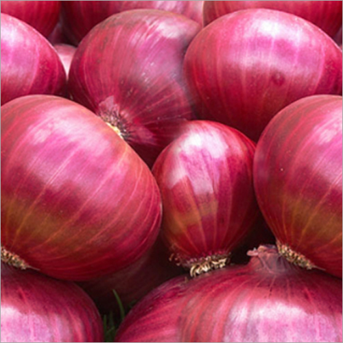 ताजा लाल प्याज