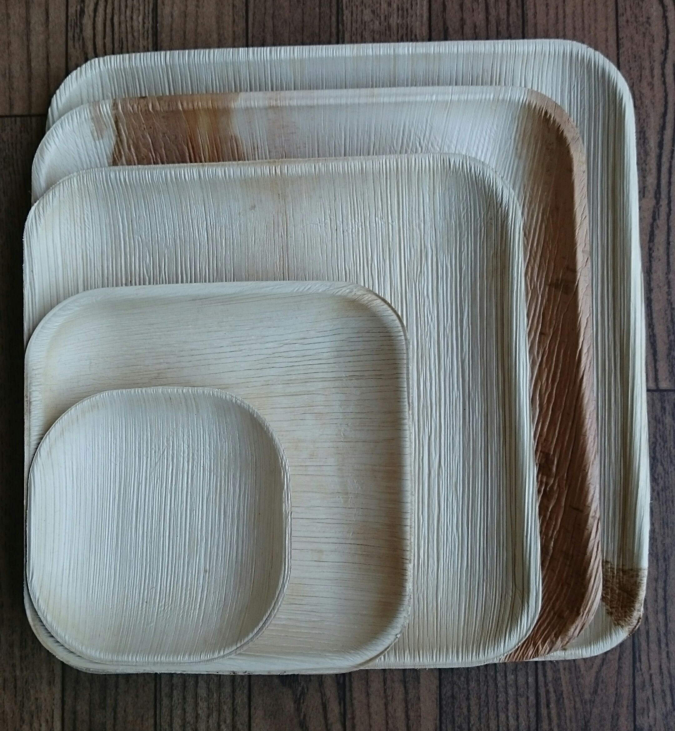 Square Palm Leaf Plate