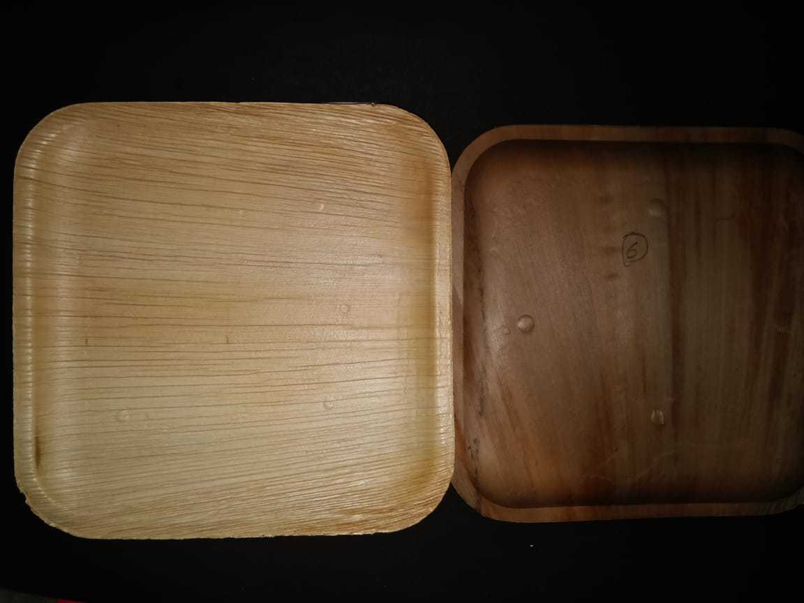 Square Palm Leaf Plate