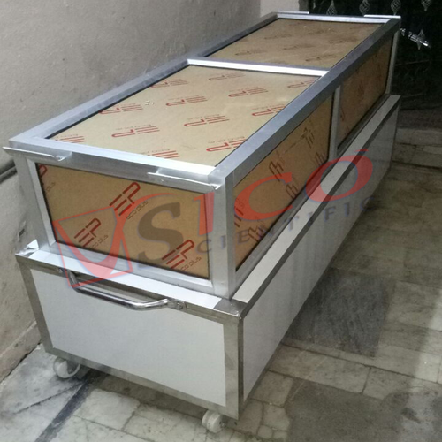 डेड बॉडी फ्रीजर स्टोरेज बॉक्स