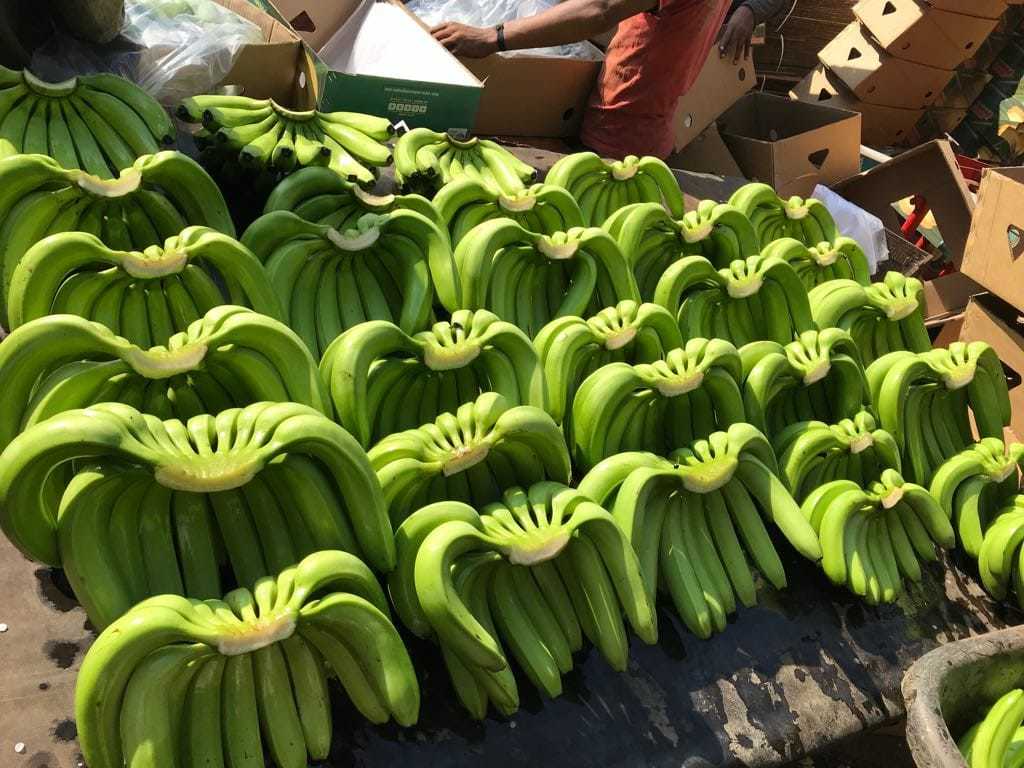 Banana