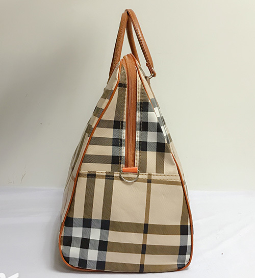 Cream Color Travel Bag