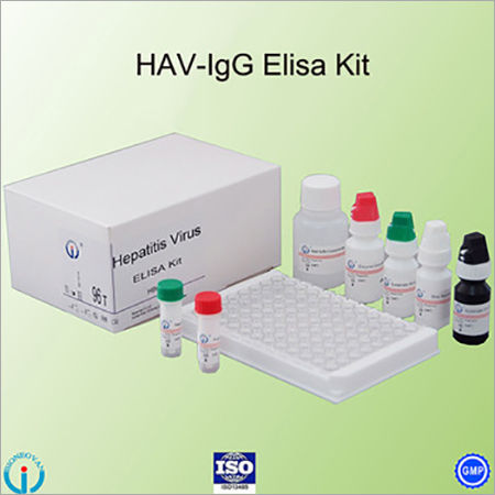 Hav Igg Elisa Kit