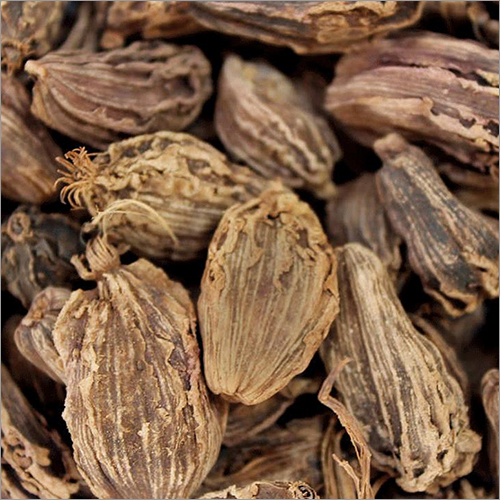 काली इलायची
