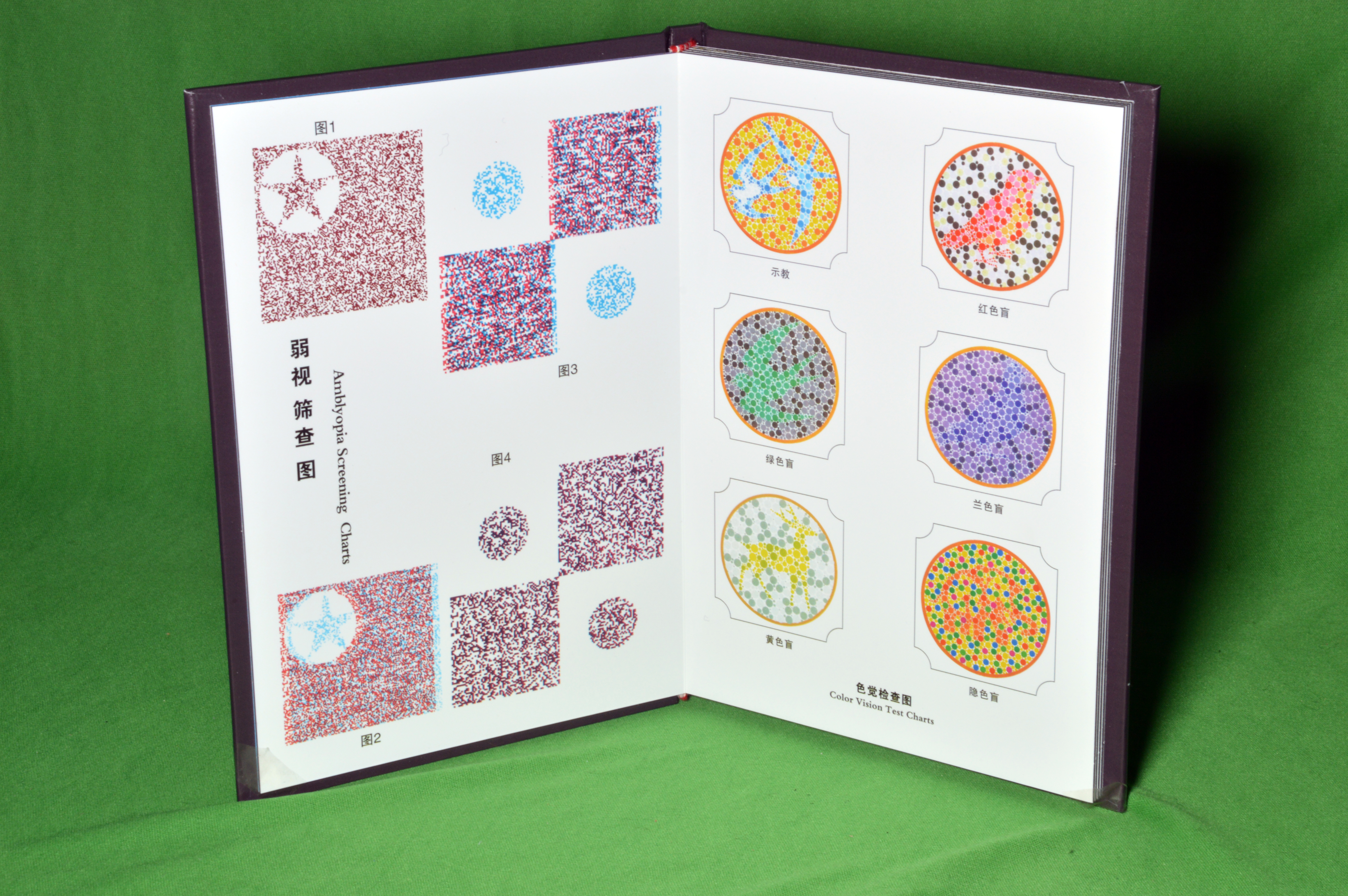 Color Test Vision Book - Color: Blue