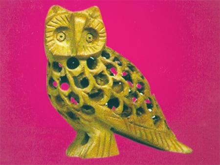 युवाओं के साथ उल्लू