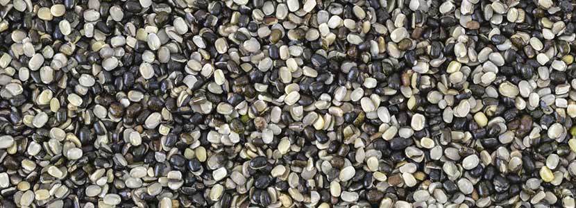 Black Gram - Whole Lentils, 25/50/100 Kilograms Weight | Black Color, 5% Moisture, 2018 Crop Year, Quality Checked For Maximum Client Satisfaction