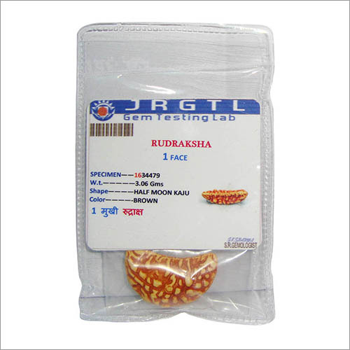 Satyamani Natural Certified Energized 1 Mukhi Rudraksha