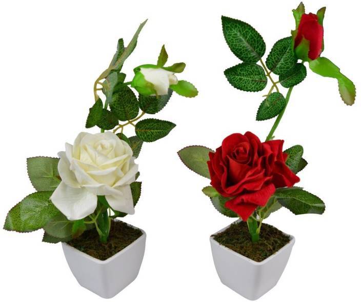 Artificial Flowers - Plastic, Height: 20 Cm, Mixed Colours | Realistic Look, Maintenance Free, Ideal For Home And Office Decoration