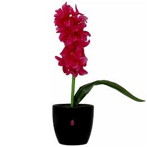 Artificial Flowers - Plastic, Height: 20 Cm, Mixed Colours | Realistic Look, Maintenance Free, Ideal For Home And Office Decoration