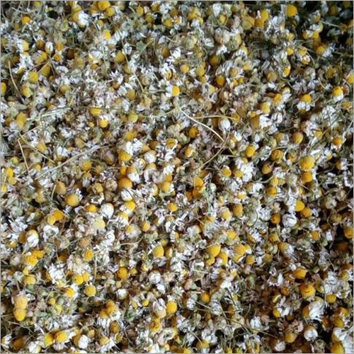 प्राकृतिक कैमोमाइल फूल