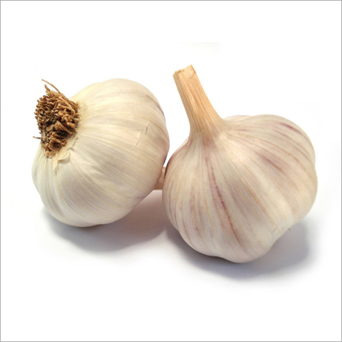 Fresh Garlic - Organic Whole Bulbs | White Color, Freeze Dried, Seasoned, A/B/C Grade, Salty and Sour Taste, Preserved Vegetable, 2-Year Shelf Life, IQF Freezing Process