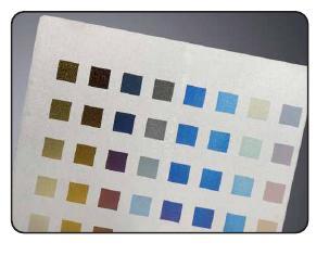 एसपीएम और अनुकूलित सॉफ्टवेयर समाधान