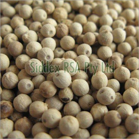 White Pepper Seeds - Organic Quality, Premium Flavor Profile , Ideal for Culinary Use