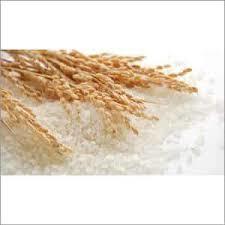 Raw Rice - Medium Grain, 14% Moisture Content | Mild Aroma, High Quality, Nutritious, Versatile, Perfect for Various Dishes