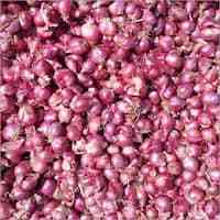 Red Small Onion