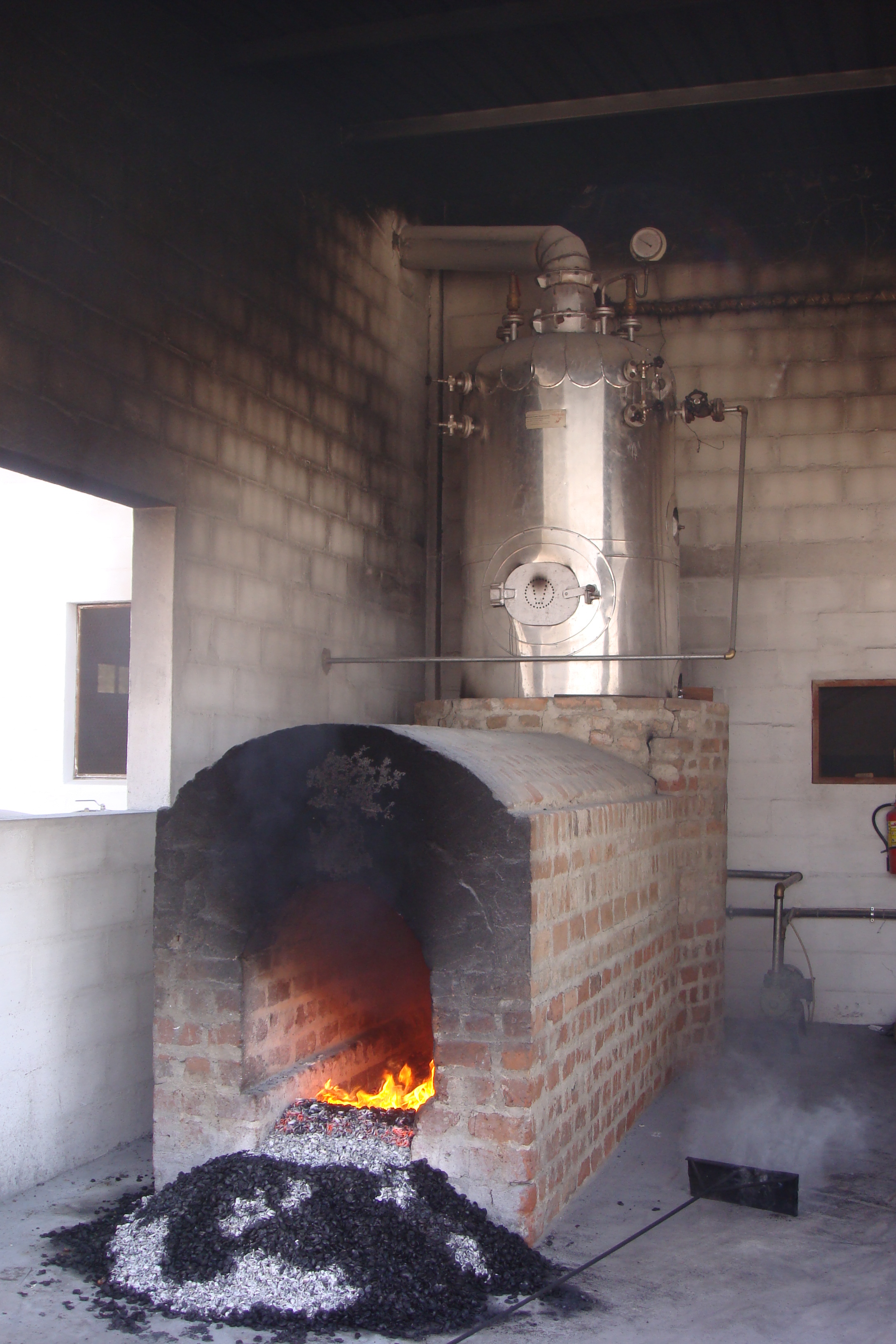 Cashew Steam Boiler Capacity: 250