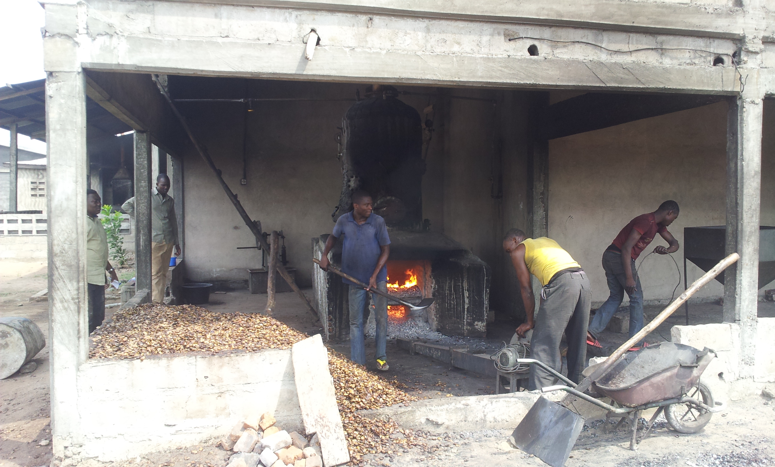 Cashew Steam Boiler Capacity: 250