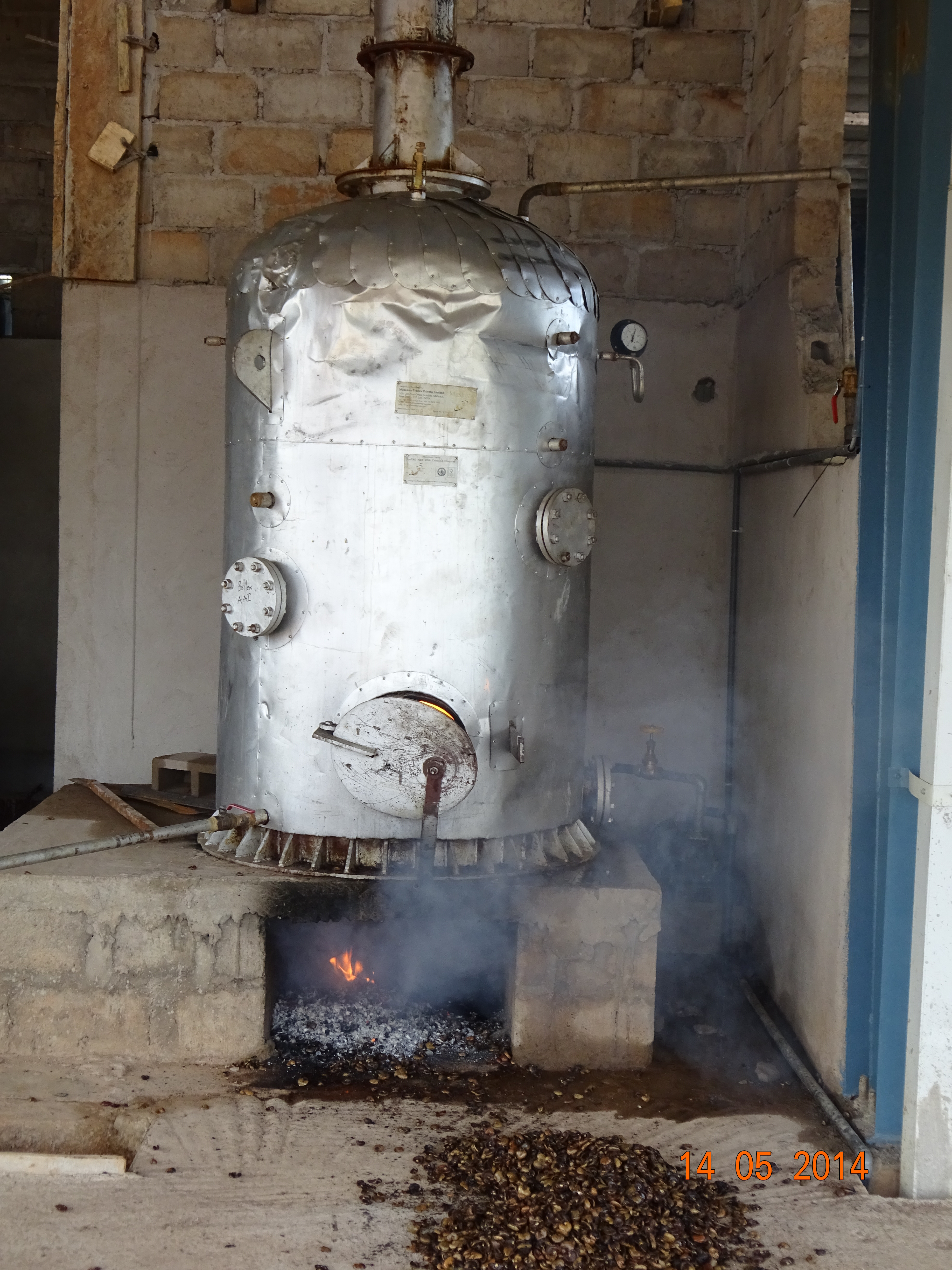 Cashew Steam Boiler Capacity: 250