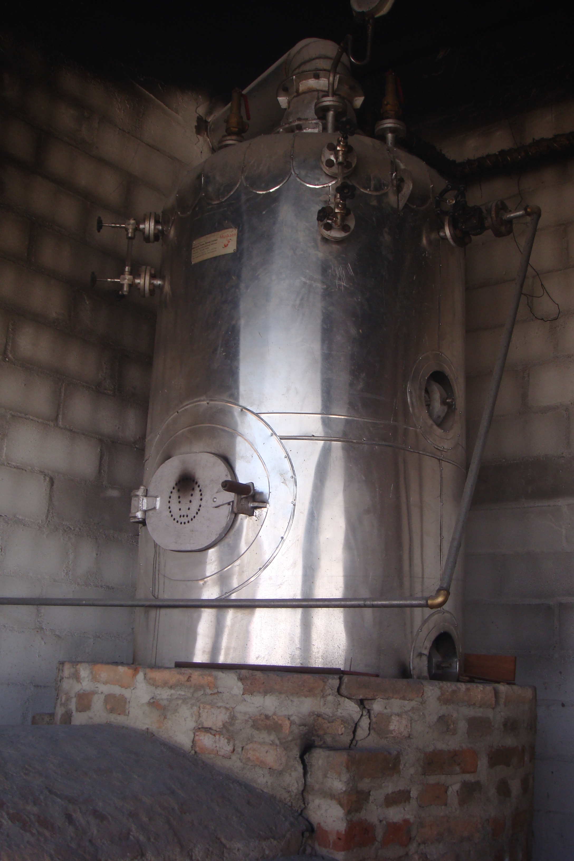 Cashew Steam Boiler Capacity: 250