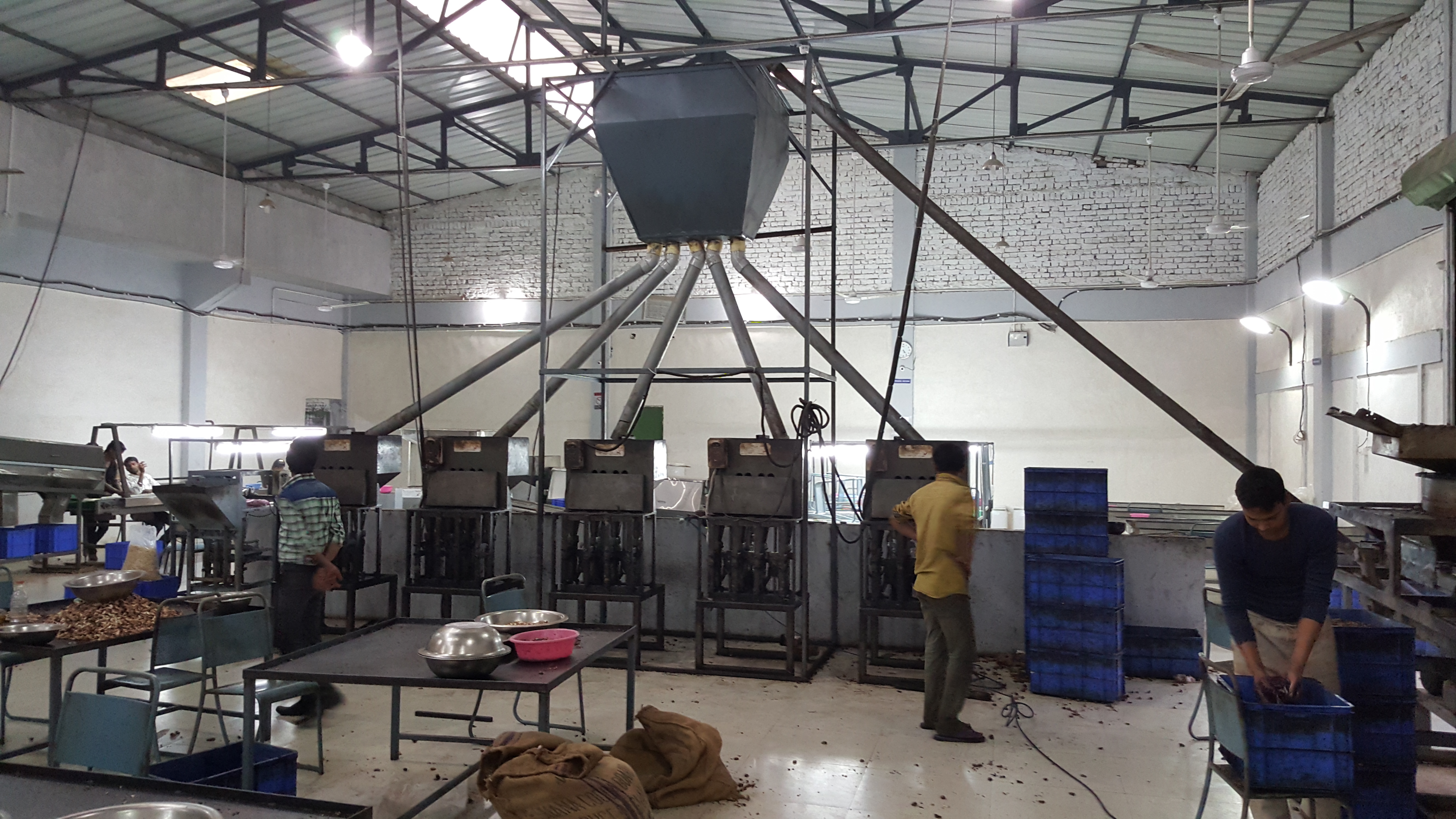 Cashew Process Plant Capacity: 10000 Kilogram(kg)