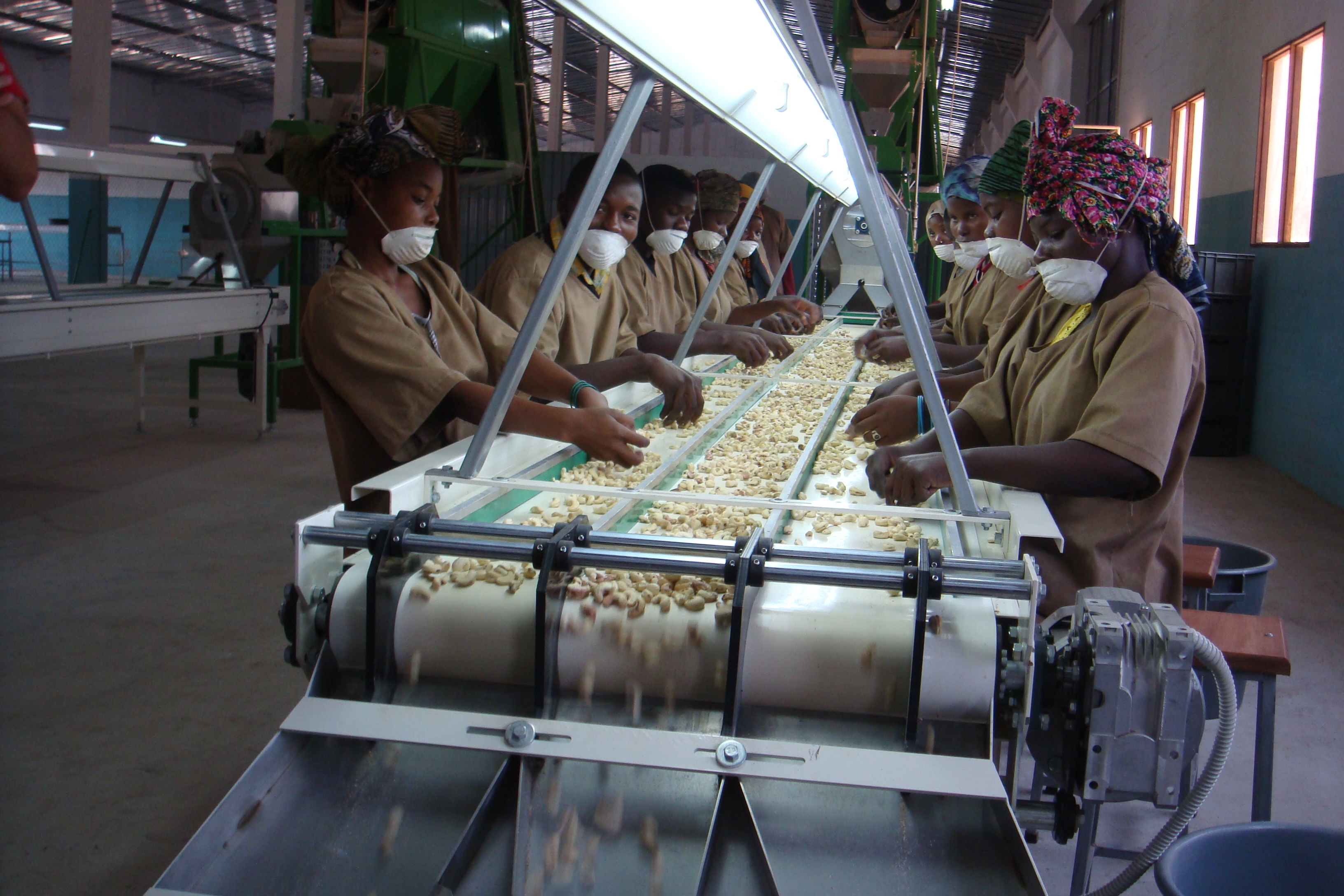 Material Handling Equipment Capacity: 40 Ton/day