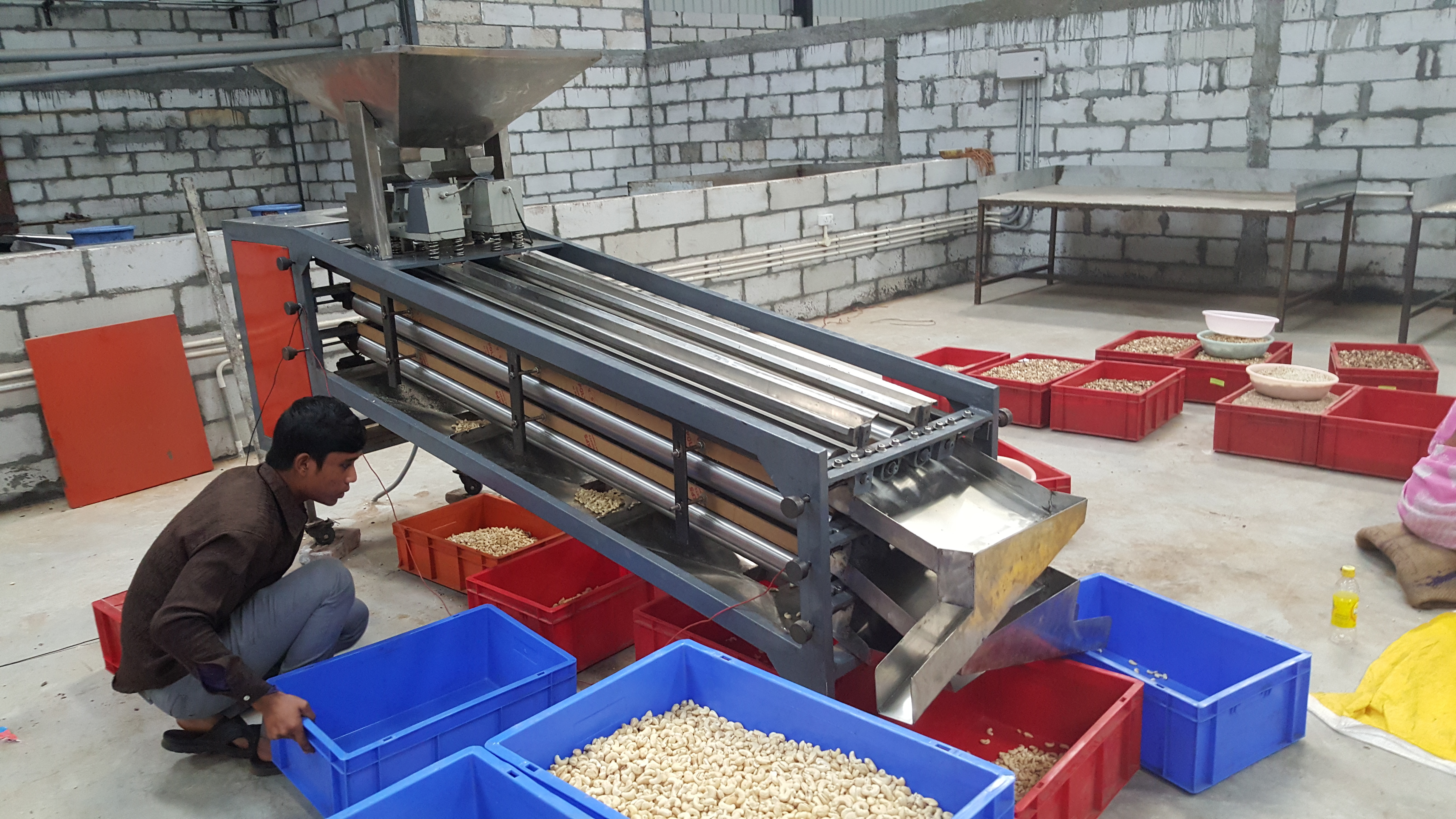 Cashew Kernels / Wholes Grading Machine Capacity: 90% Kg/day