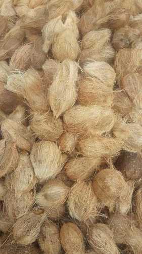 एक आँख नारियल