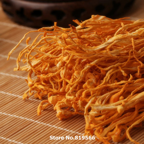 कॉर्डिसेप मिलिटारिस मशरूम