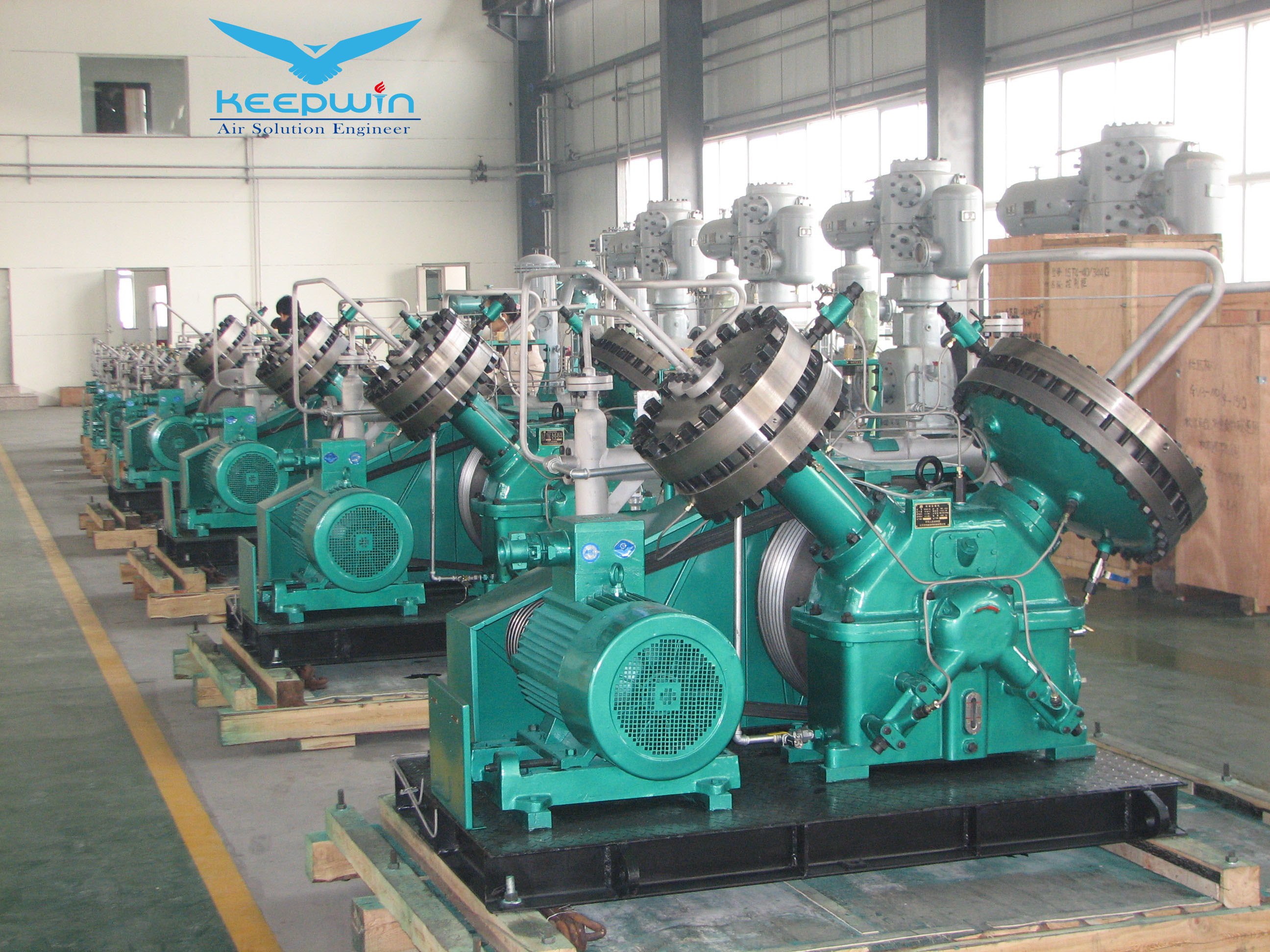 Oil-free Carbon Dioxide Diaphragm Compressor