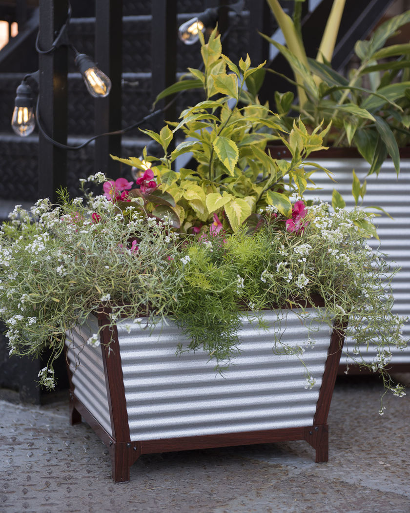 Black Set Of 3 Planters With Wooden Handles