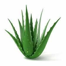 Skin Gel Age Group: Suitable For All