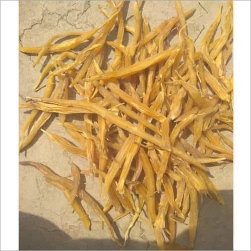 Dried Shatavari Roots Age Group: For Children
