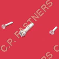 Ss Screws