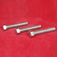 SS हेक्स बोल्ट्स