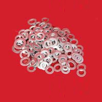 SS Spring Washer