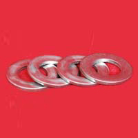 SS Spring Washer