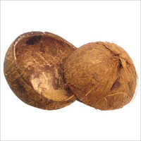Dry Coconut Shell