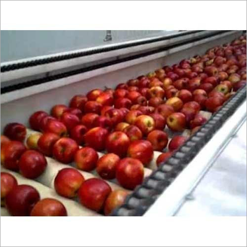 Automatic Apple Grading Machines