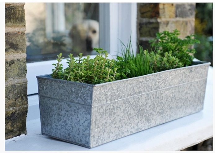 White Montserrat Rectangle Fiberglass Planter