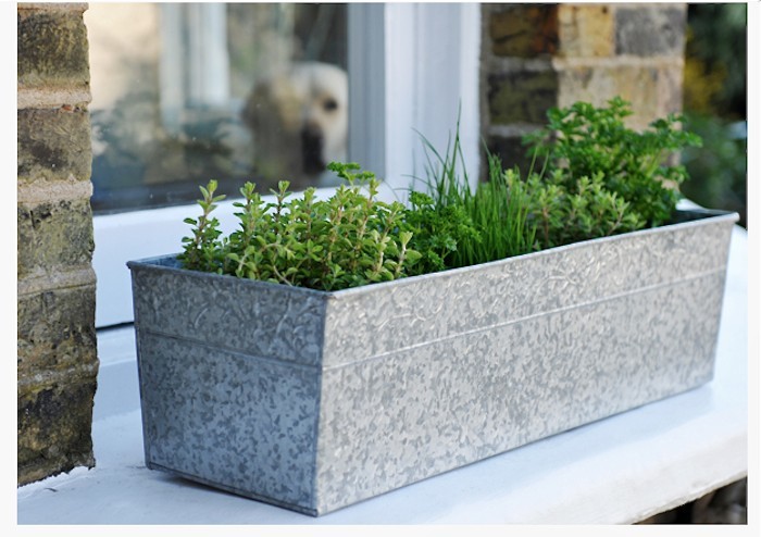 White Montserrat Rectangle Fiberglass Planter