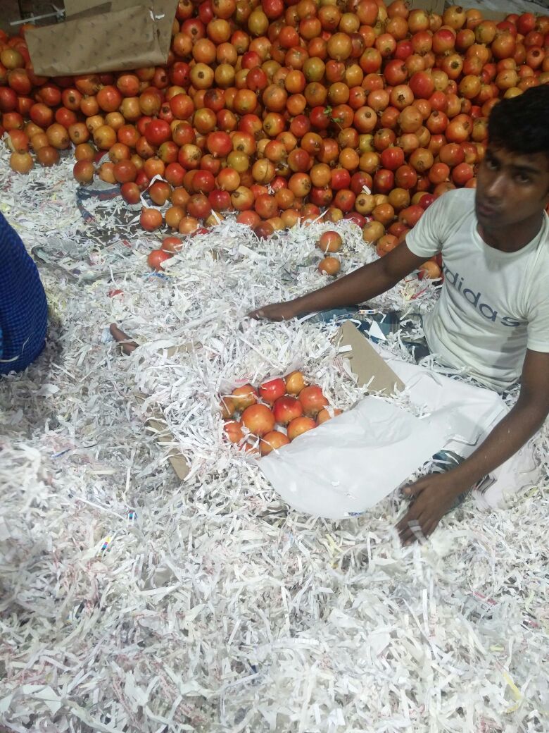Dark Red A Grade Indian Pomegranate