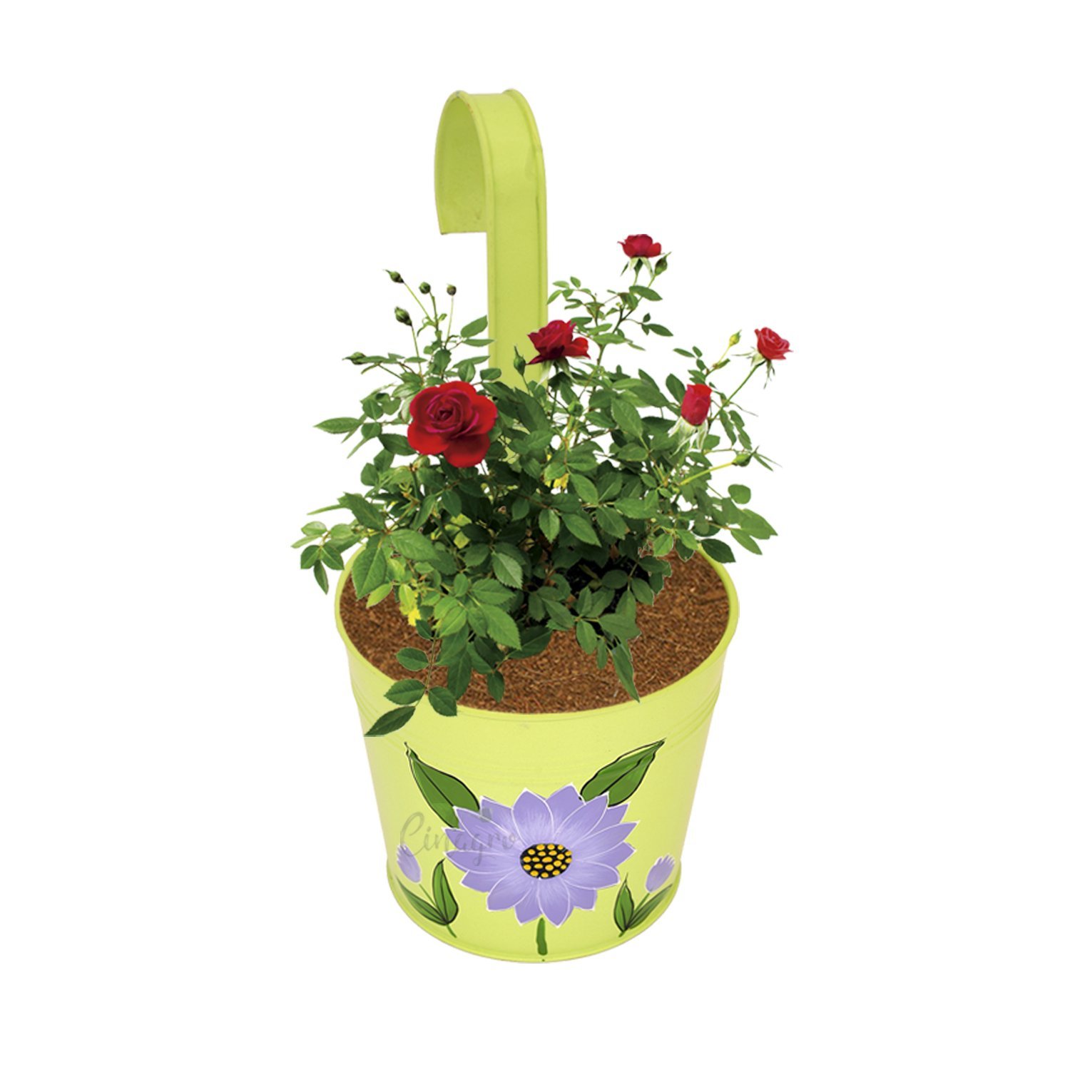 Mixed Color Set Of 5 Designer Hand Painted Railing Metal Planter