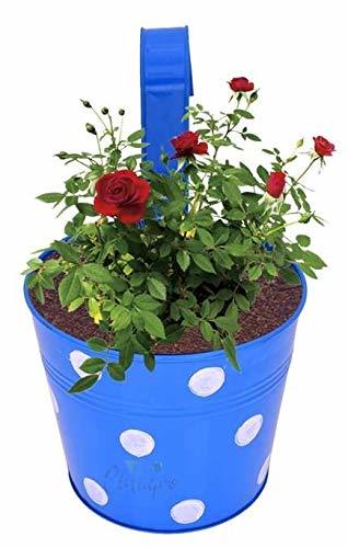 Mixed Color Set Of 5 Designer Hand Painted Railing Metal Planter