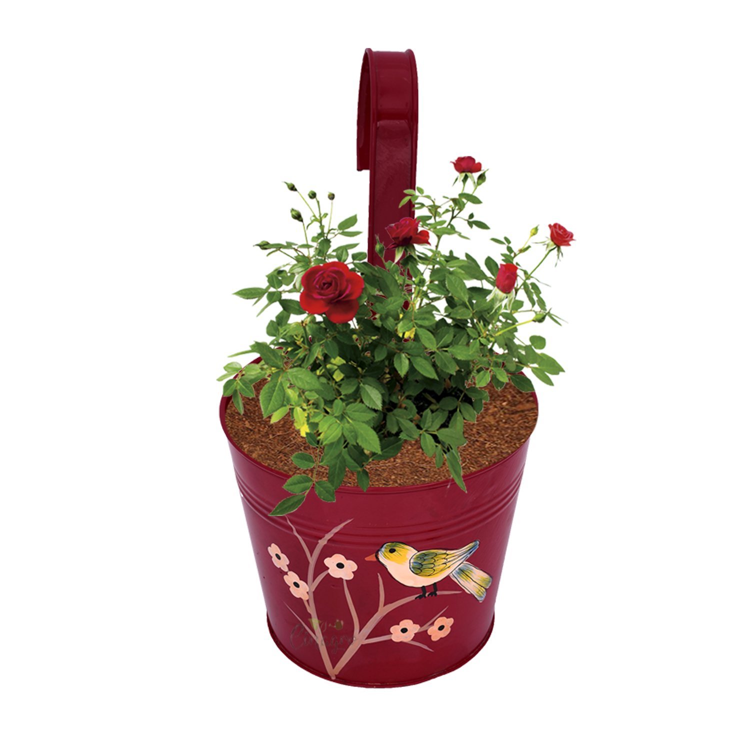 Mixed Color Set Of 5 Designer Hand Painted Railing Metal Planter