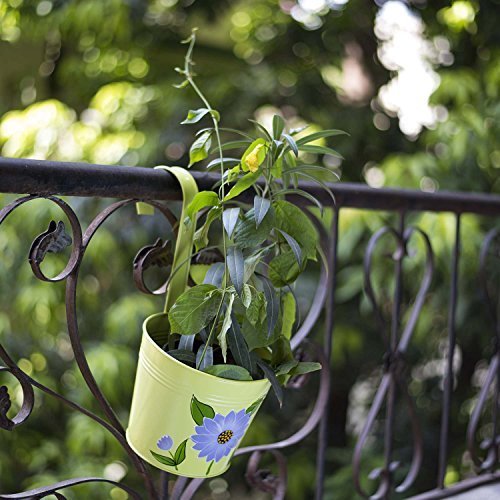 Mixed Color Set Of 5 Designer Hand Painted Railing Metal Planter